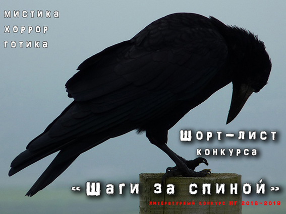 crow raven bird black animal eat silhouette dark 934090.jpgd